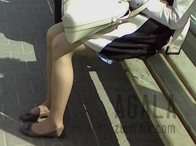 IMG_20140425_131659kl.jpg - AGALA