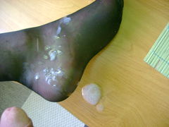 DSC09745.JPG