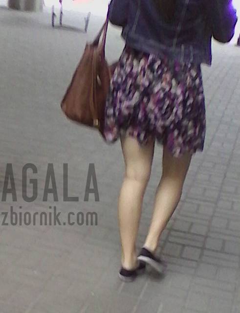 IMG_20140501kl.jpg - AGALA