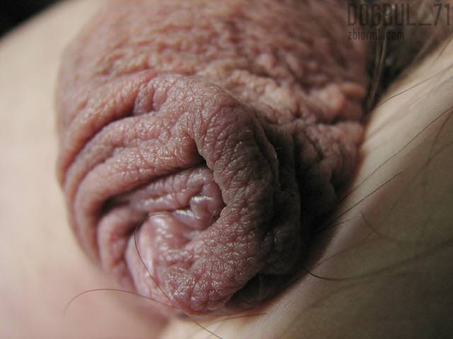 mopsik . . .  ;) - dogbul_71