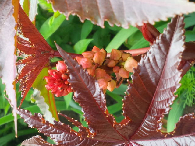 Tęsknotce... - Pan_Stanowczy