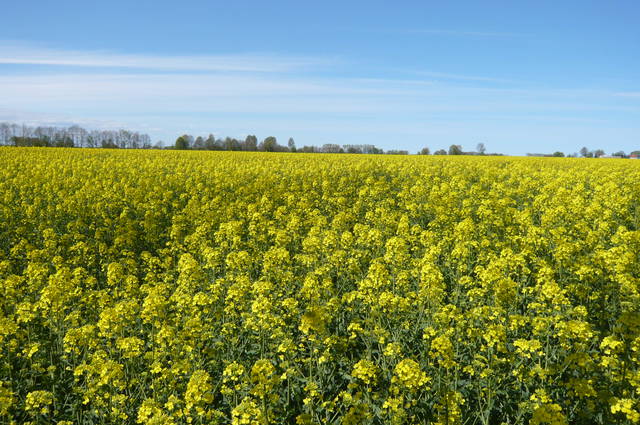 P1020836.JPG - pieguski7778