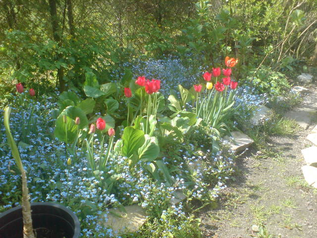 wiosna :) - DriverOld