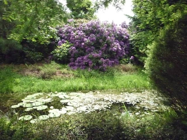 Kołobrzeg 072.jpg - MyszkaKotka