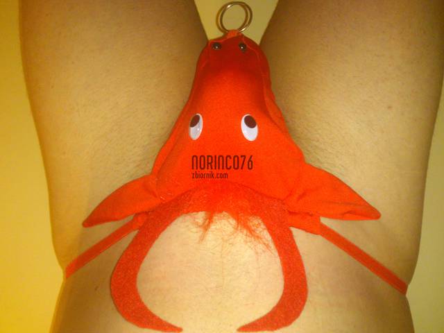 DSC_0022.jpg - norinco76