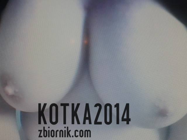 2.jpg - kotka2014