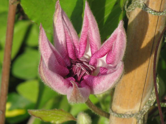 IMG_8407.JPG - wodnik50