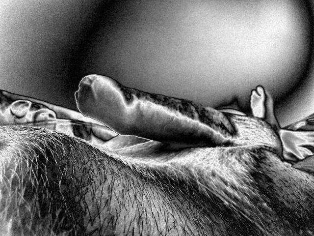 IMG_20140521_095349.jpg - Grande_Jack