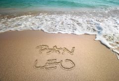 daj się ponieść falom