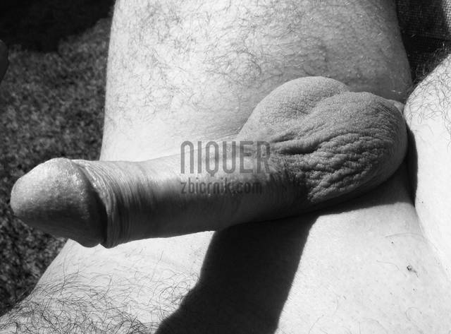Niquer