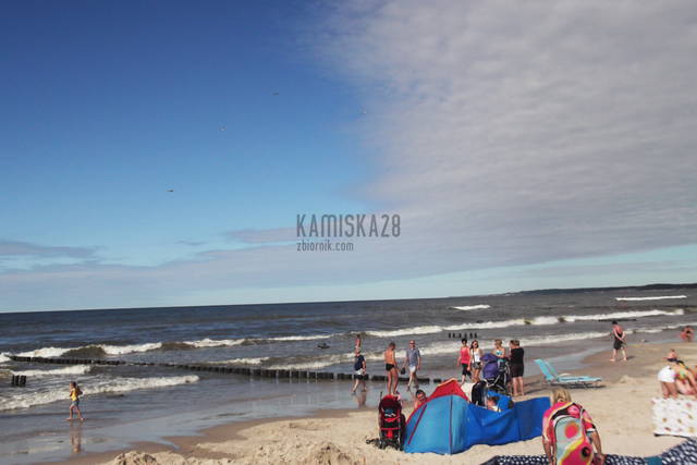 DSCF4110.JPG - kamiska28