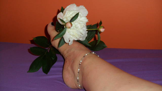 SAM_0656.JPG - fajnibi