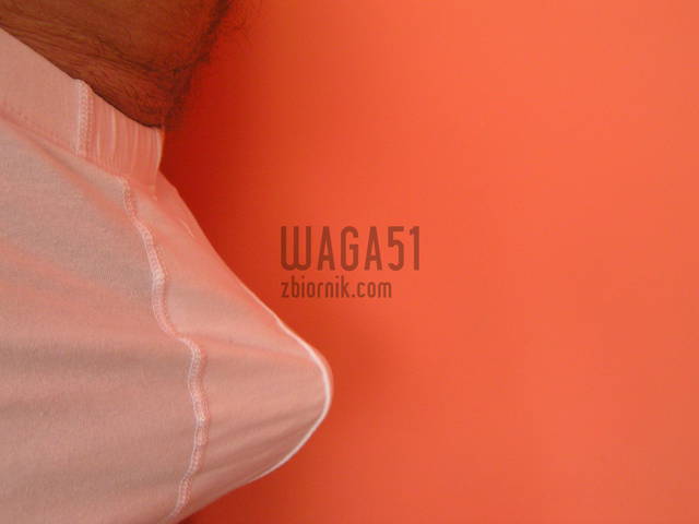 P6090008.JPG - waga51