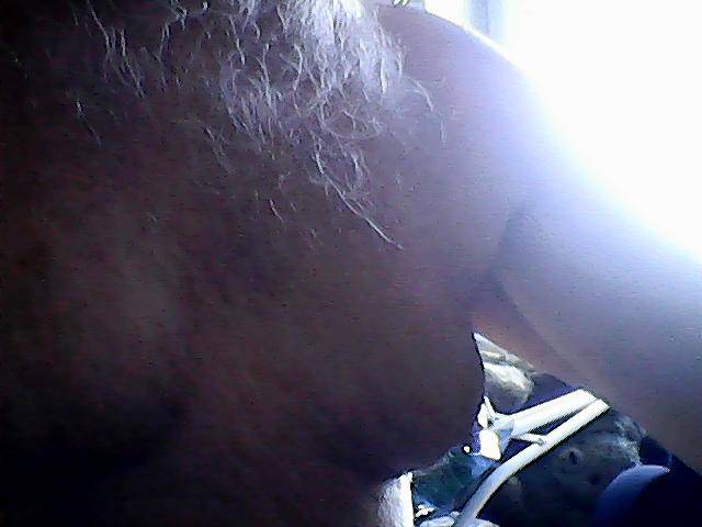 Obraz 117.jpg - czupurek