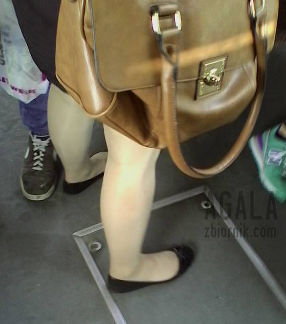 IMG_20140616_155607kl.jpg - AGALA