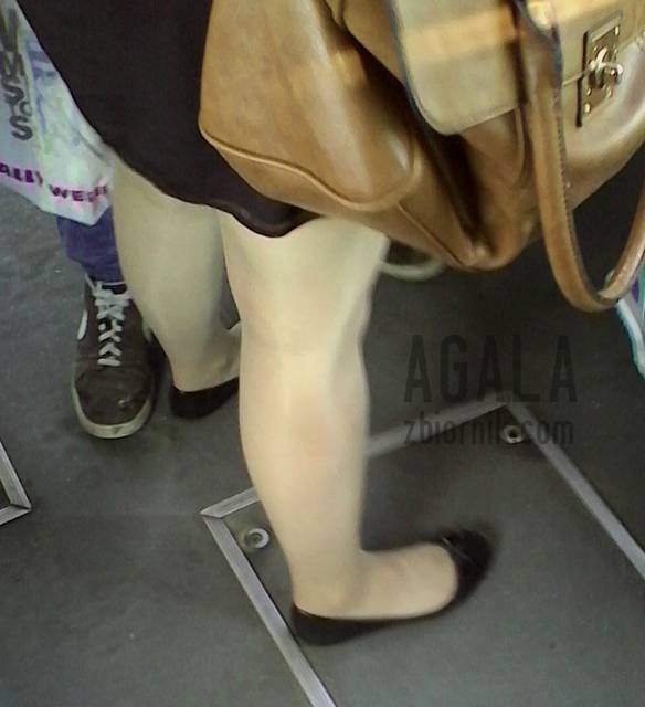 IMG_20140616_155610kl.jpg - AGALA