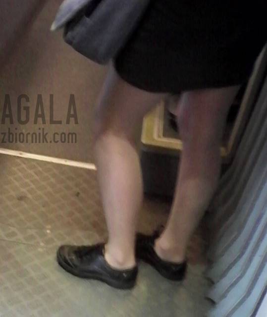 IMG_20140616_154356v.jpg - AGALA