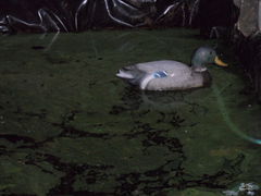 kto mi odczaruje męża ?