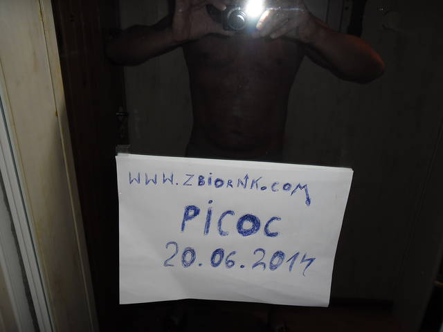 picoc