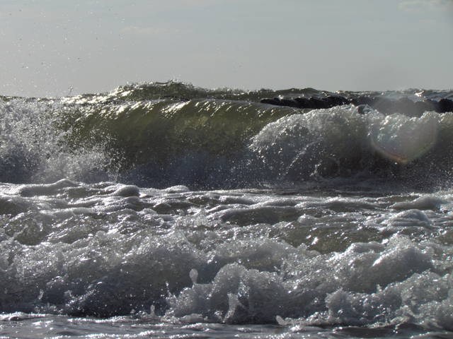 IMG_9000.JPG - wodnik50