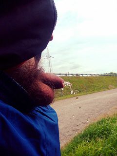 krople złotego deszczu