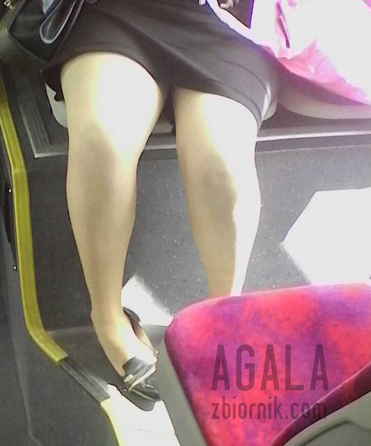 IMG_20140625_130552kl.jpg - AGALA