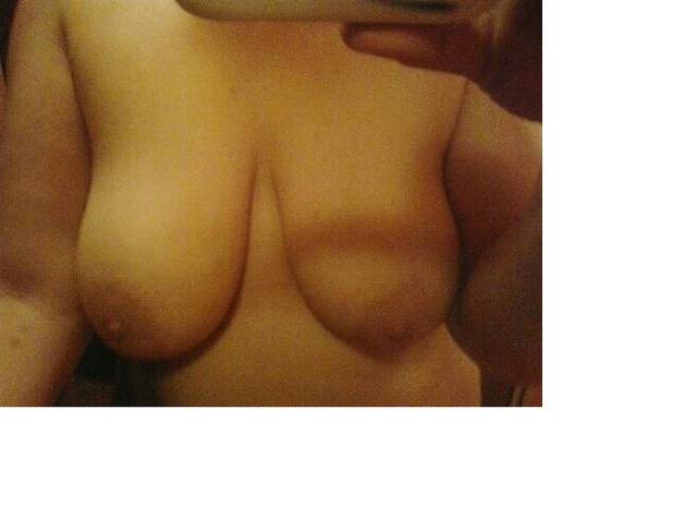 005.jpg - parabibis