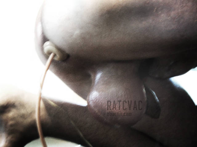 nooo vac in vac out xD - RATCVAC