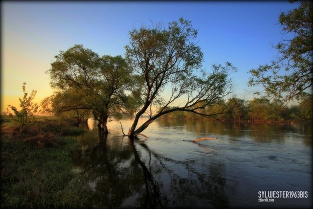 3_i1287390.jpg - sylwester1963bis