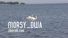 Rodzinka na "spacerze"