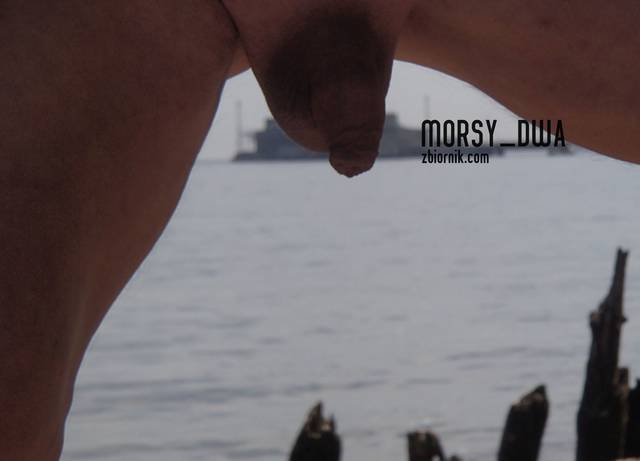 Ściśle tajne !!! - Morsy_dwa