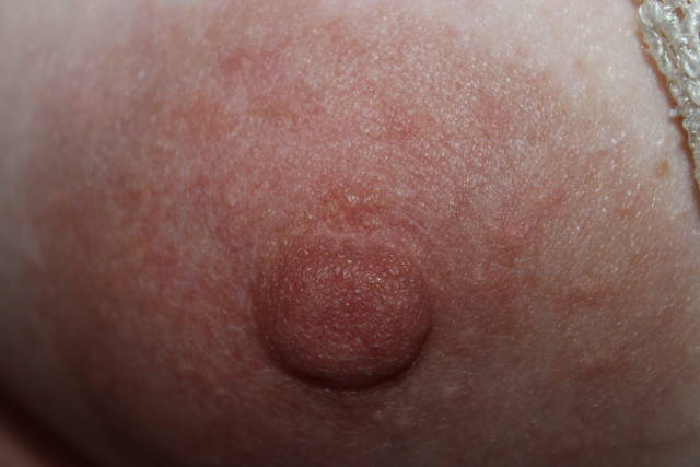 IMG_8747.JPG - obserwatorrzy