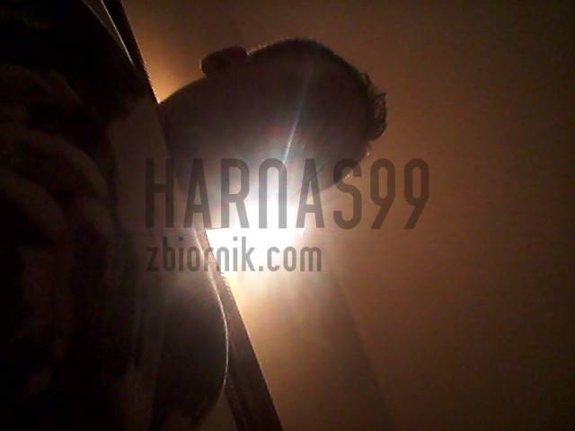 harnas99