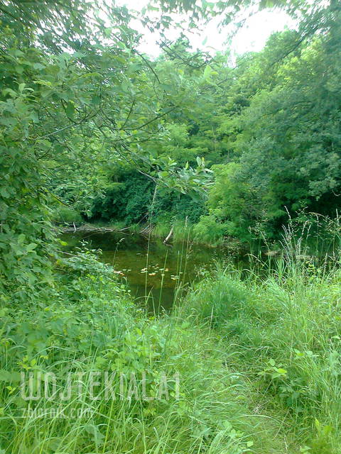 Zdjęcie0551.jpg - wojtekiala1