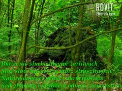 Lubię ten kawałek wiersza pewnego pisarza.