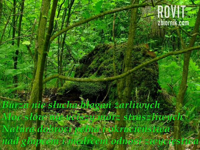 Lubię ten kawałek wiersza pewnego pisarza. - Rovit