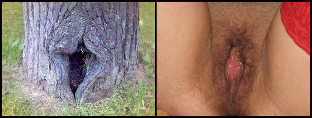 Znajdź różnicę - druhboruch