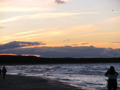 IMG_2305.JPG