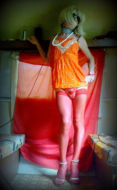 Zdjęcie0190.JPG - Trans_JOLKA