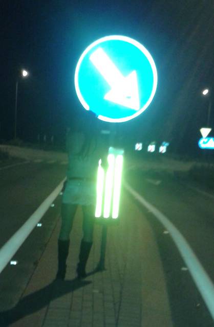 przydrorzna suka - agatka2