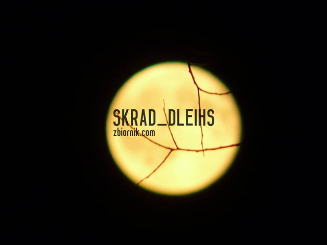 P1160218.JPG - skrad_dleihs