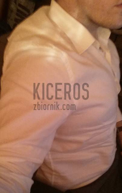 ja.jpg - kiceros