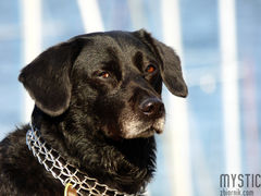 Moja ulubiona modelka :))