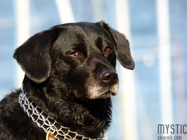 Moja ulubiona modelka :)) - mystic