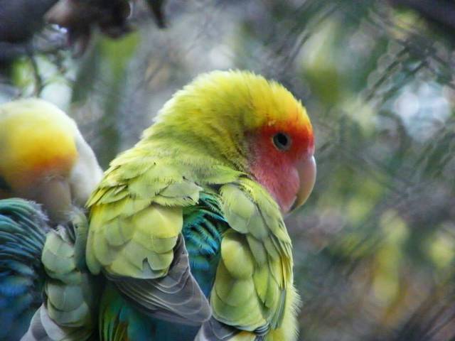 10354141_460564477422087_2882989066718383408_n.jpg - ona501