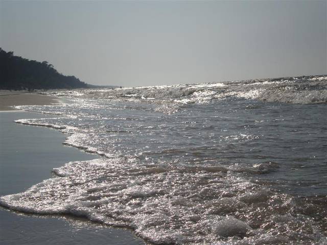 P1015236 (Medium).JPG - EroCipulek