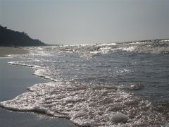 P1015236 (Medium).JPG