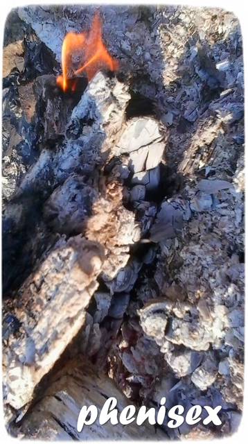ognisko już dogasa blask ... - phenisex
