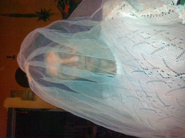 13032013047.jpg - bynio57