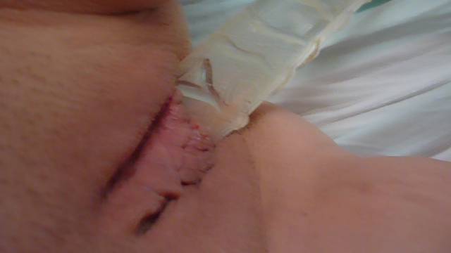 P1040925.JPG - Ostra_parka_82_84